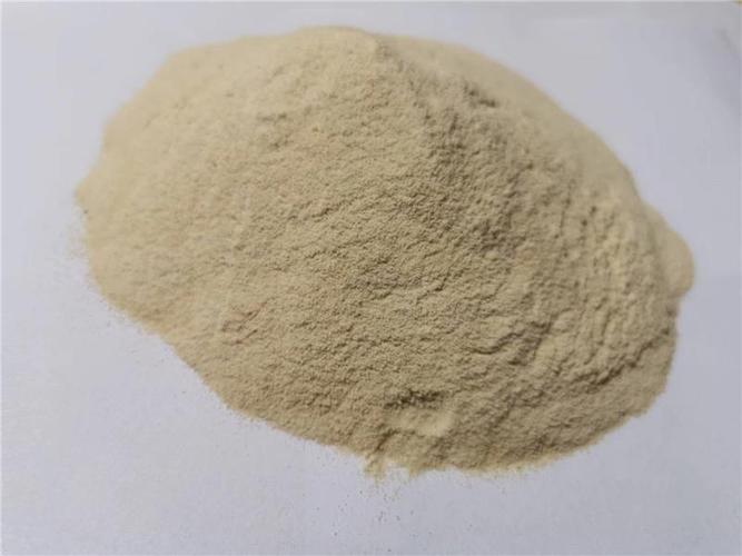 黄河实业深耕小麦精华，谷朊粉与淀粉双轮驱动产业升级